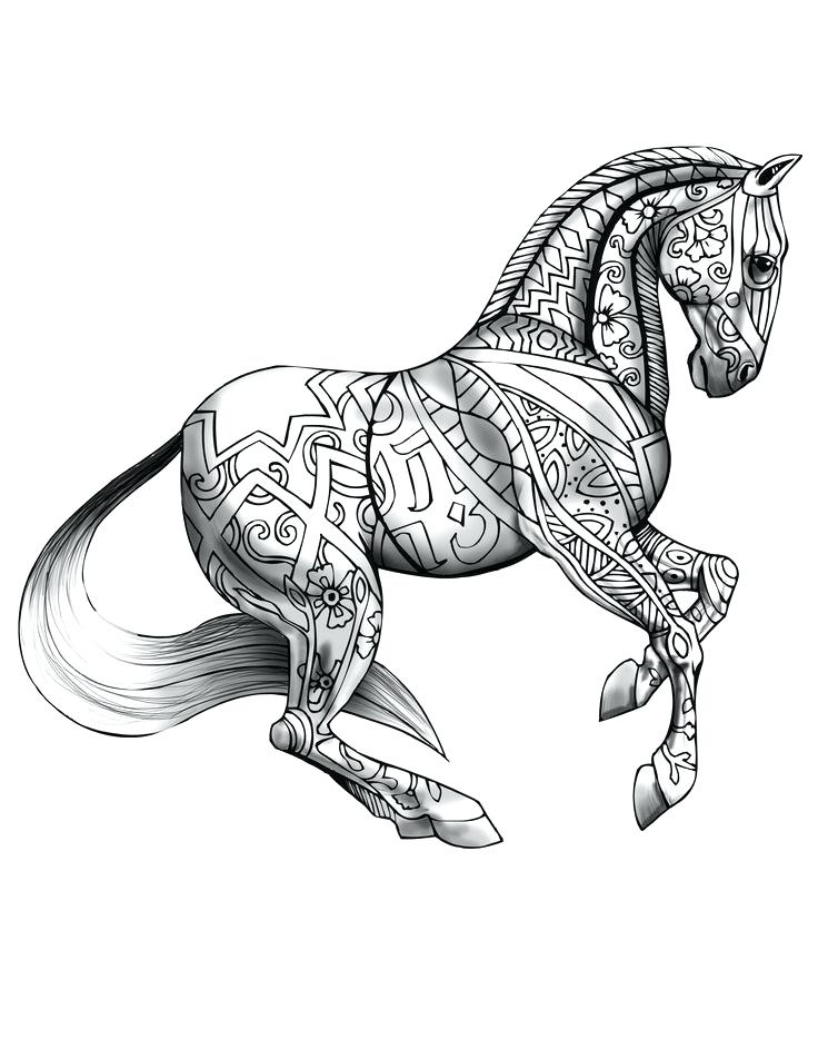 736x952 New Beautiful Horse Coloring Pages And Beautiful Horse In Horses