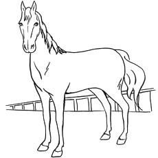 230x230 Top 48 Free Printable Horse Coloring Pages Online