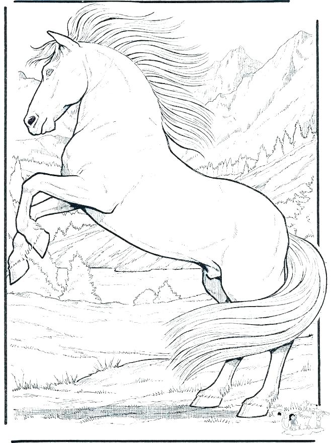 660x880 Horse Coloring Picture