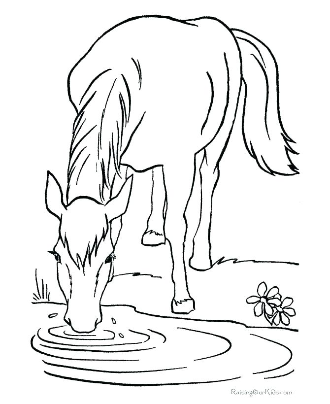 670x820 Coloring Pages Horse Horse Coloring Pages Beautiful Horse Coloring