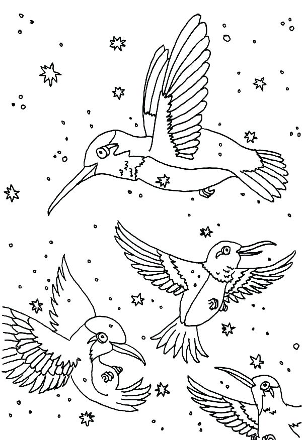 600x876 Hummingbird Coloring Hummingbird Coloring Pages With Textured