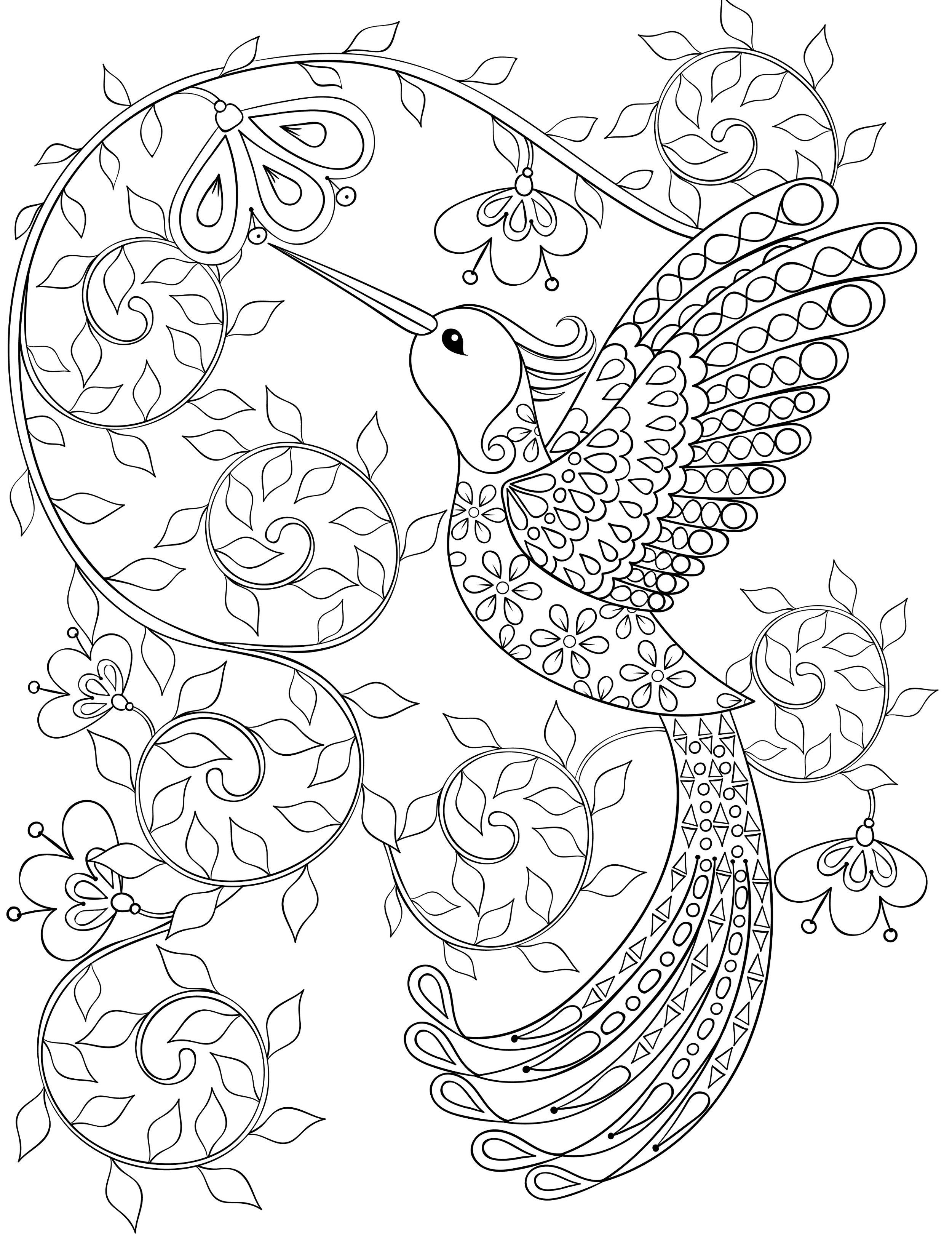 2500x3300 Hummingbird Coloring Pages For Adults, Free Dwonloadable Cosas