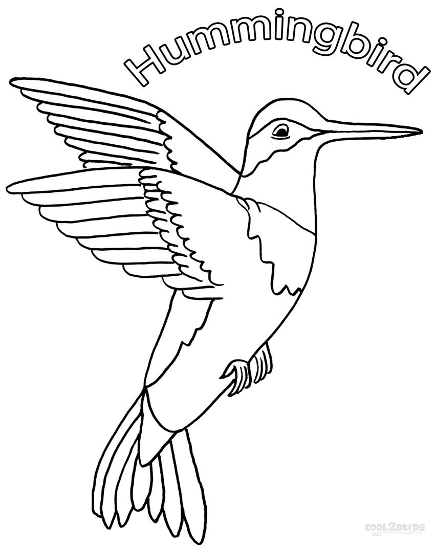 850x1075 Printable Hummingbird Coloring Pages For Kids Cool2bkids