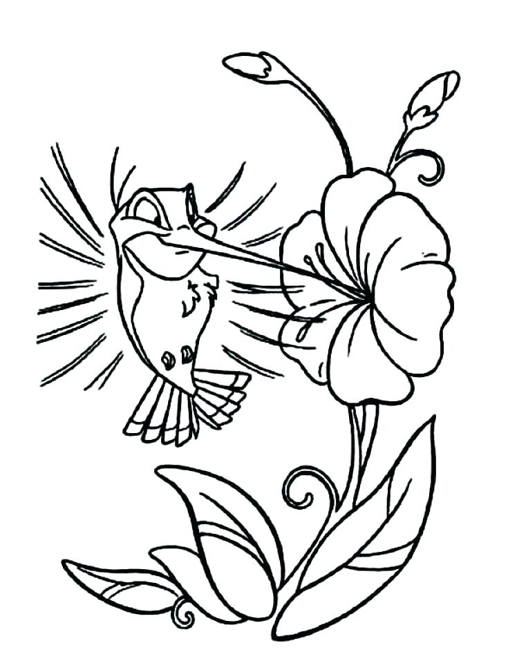 748x960 Coloring Pages Of Hummingbirds Hummingbird Coloring Pages Coloring