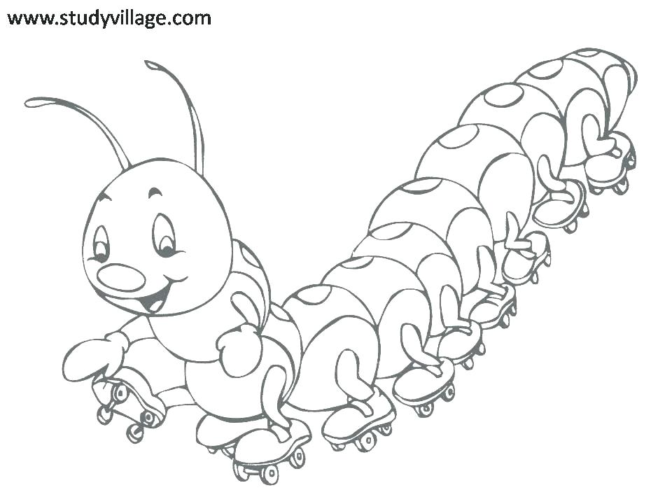 960x720 Coloring Pages Of Insects Insect Coloring Pages Size Printable