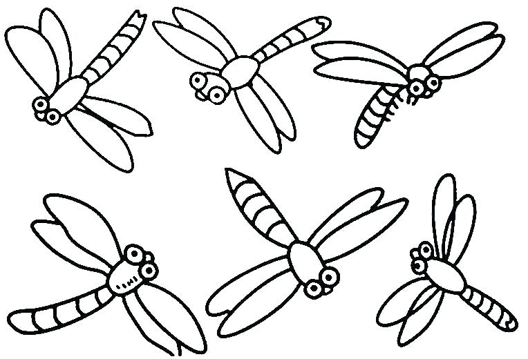 764x520 Free Printable Insect Coloring Pages Free Printable Insect