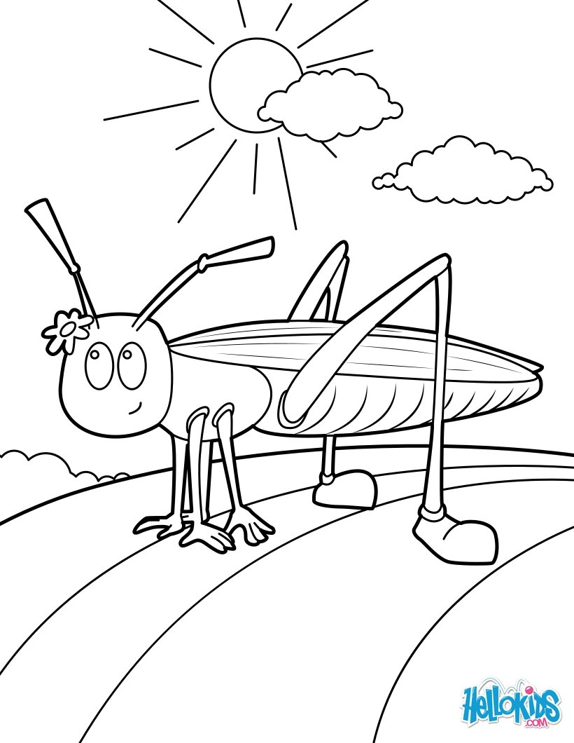 820x1060 Insect Coloring Pages