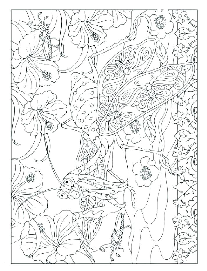 713x936 Insect Coloring Pages Free Printable Insect Coloring Pages Free