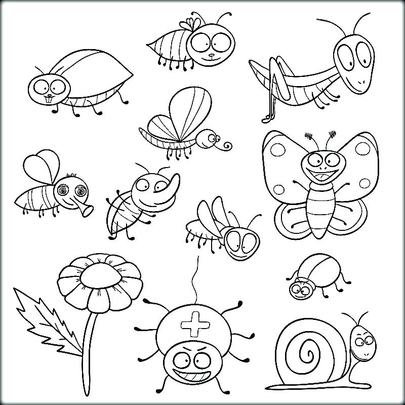 800x800 Insect Coloring Pages Insects Coloring Pages Insects Coloring