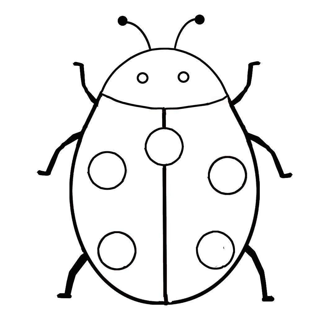 1000x1000 Sampler Insect Coloring Pages Insect 30 Free I