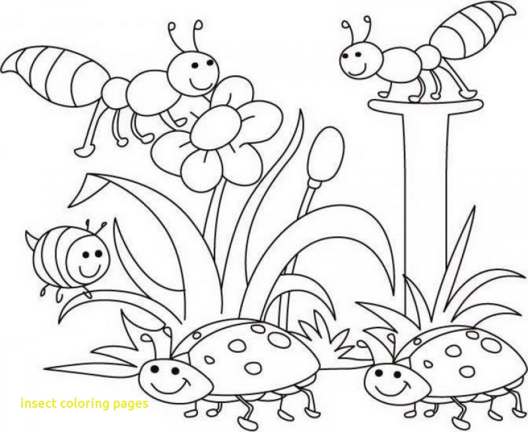 1048x857 Startling Insect Coloring Pages Top 82 Free Pa