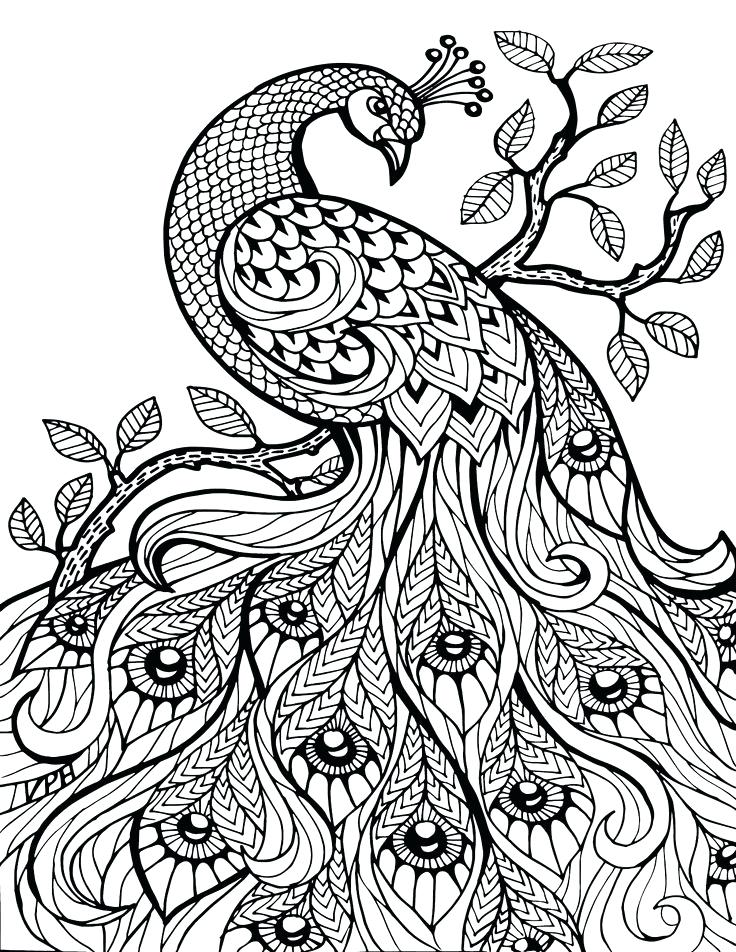 Free Detailed Coloring Pages Intricate Coloring Pages For Adults 736x952 Free Detailed Coloring Pages Intricate Coloring Pages For Adults
