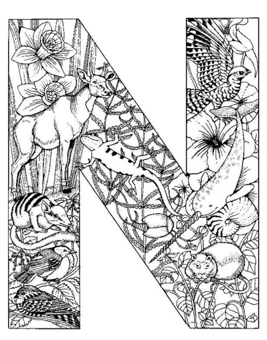 Detailed Coloring Pages Lovely Free Coloring Pages Of Detailed 900x1145 Detailed Coloring Pages Lovely Free Coloring Pages Of Detailed