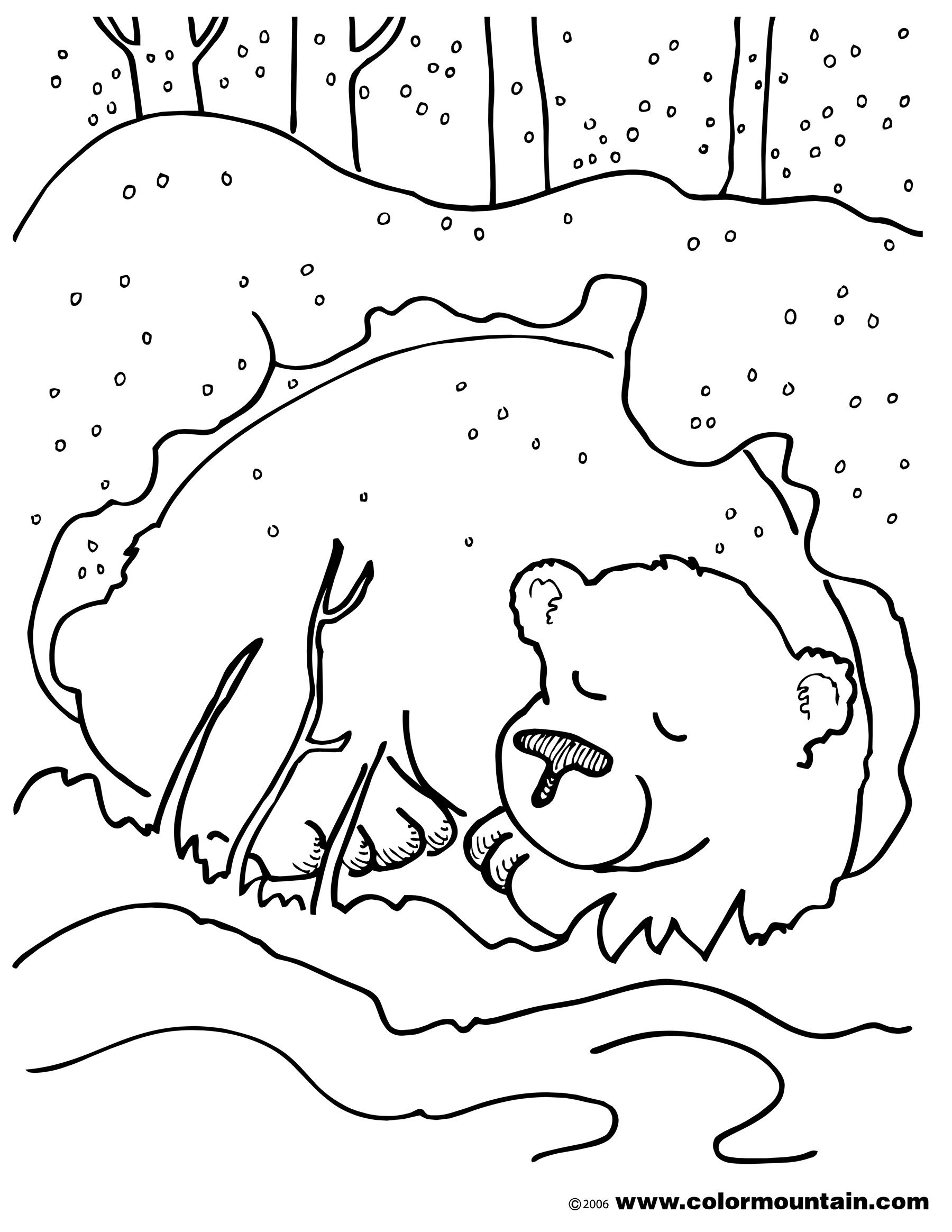 Cute Sleeping Bear Coloring Page Printable To Pretty Hibernating 1800x2329 Cute Sleeping Bear Coloring Page Printable To Pretty Hibernating