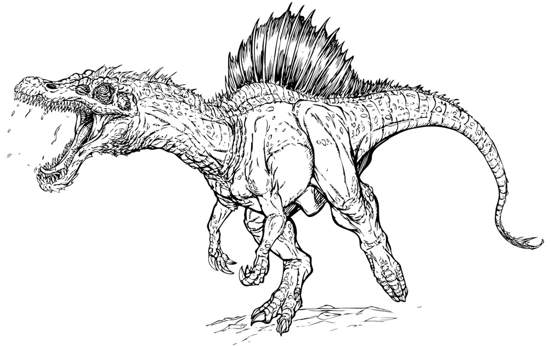 Free Jurassic Park T Rex Coloring Pages 1080x674 Free Jurassic Park T Rex Coloring Pages