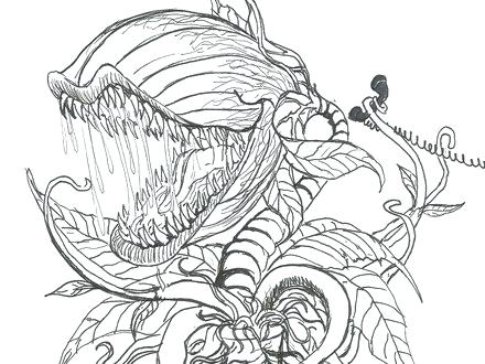 Coloring Page Free Coloring Pages Of Coloring Pages Coloring Page 440x330 Coloring Page Free Coloring Pages Of Coloring Pages Coloring Page
