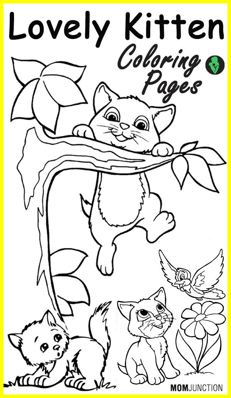 758x1306 Appealing Top Printable Kitten Coloring Pages Online Adult Pics