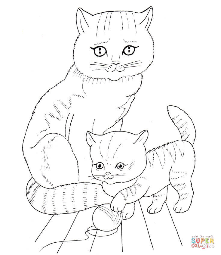 735x847 Cheap Kitten Coloring Pages Preschool To Humorous Cute Kitten