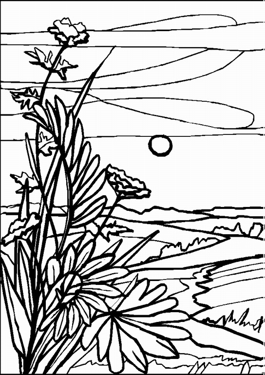 Landscape Coloring Sheet To Print Free Coloring Sheets 544x770 Landscape Coloring Sheet To Print Free Coloring Sheets