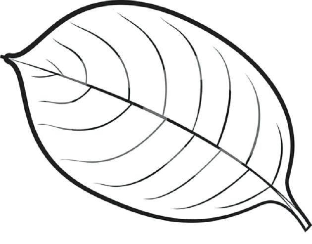 630x493 Leaf Coloring Awesome Leaf Coloring Pages With Additional Coloring