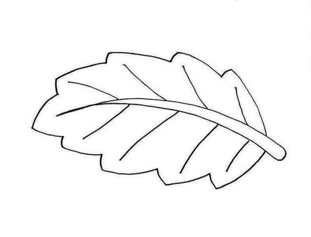 1048x799 Leaves Coloring Pages