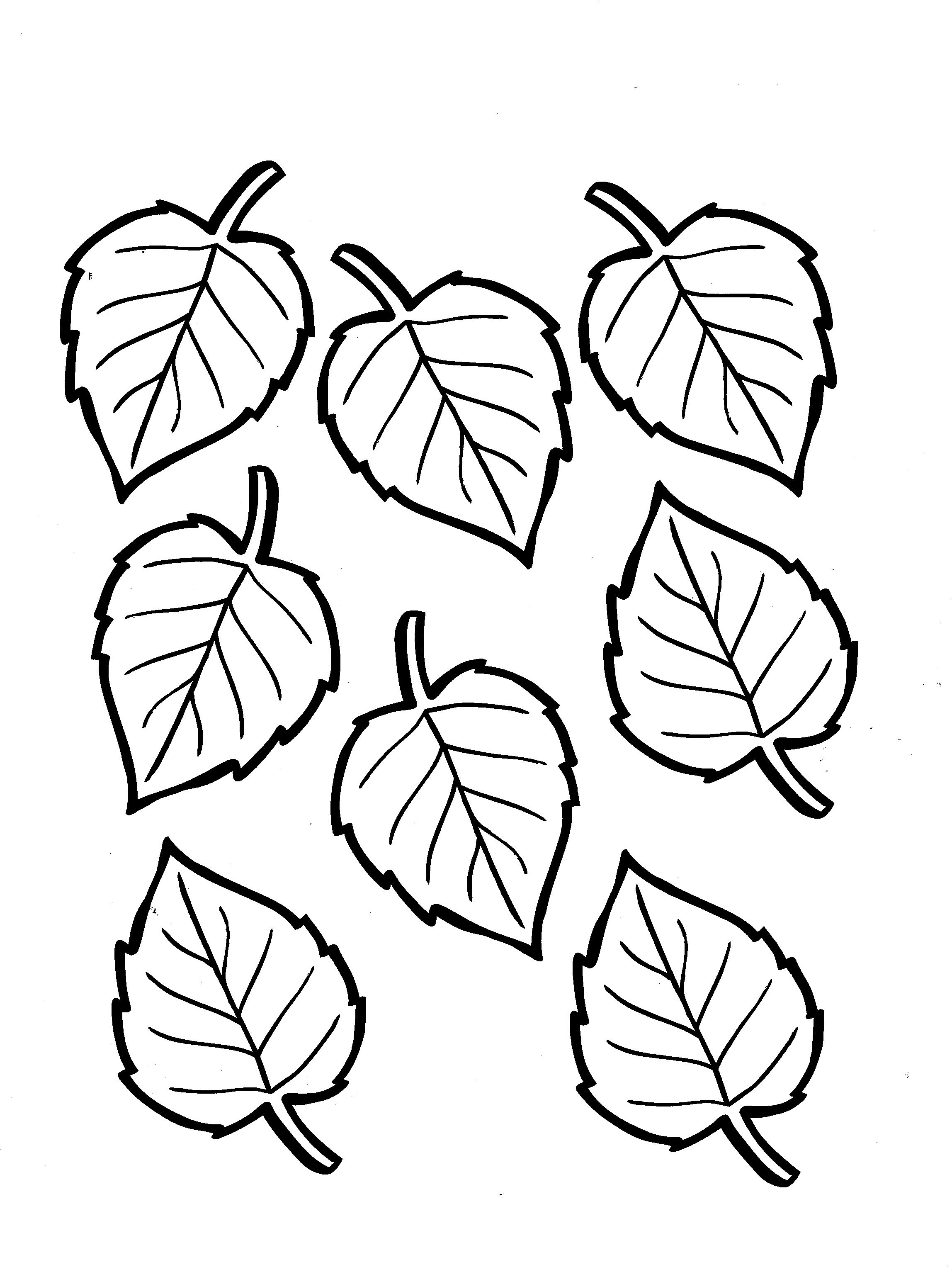 2296x3055 Leaves Coloring Pages Leaf Book Awesome Ribsvigyapan Autumn Fall