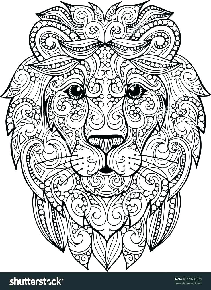 Lion Color Page Coloring Page Lion And Mouse Bunga Lion Guard 736x1009 Lion Color Page Coloring Page Lion And Mouse Bunga Lion Guard