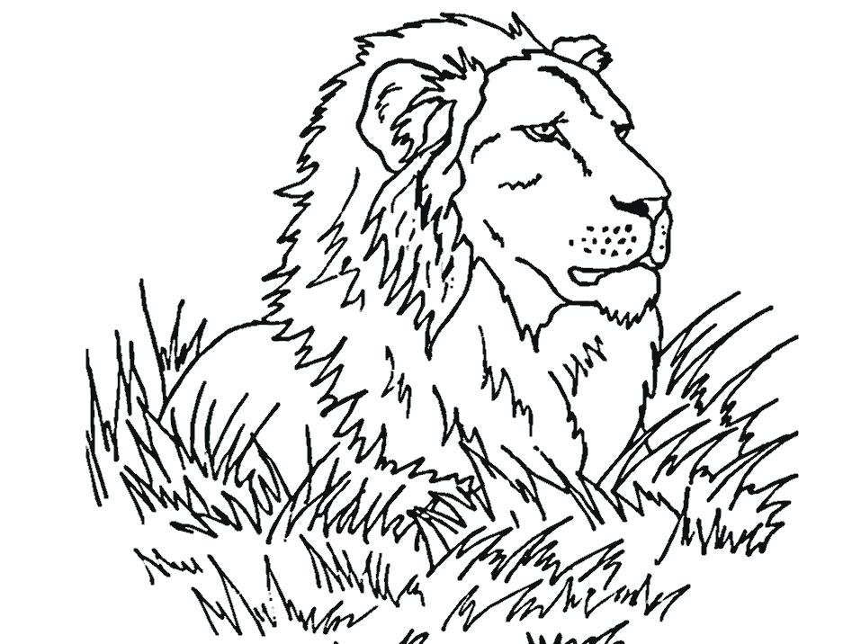 Lion Coloring Page Mountain Coloring Page Exquisite Decoration 957x716 Lion Coloring Page Mountain Coloring Page Exquisite Decoration