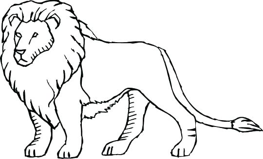 Lion Coloring Pages Lion Coloring Pages Lion King Coloring Pages 540x328 Lion Coloring Pages Lion Coloring Pages Lion King Coloring Pages