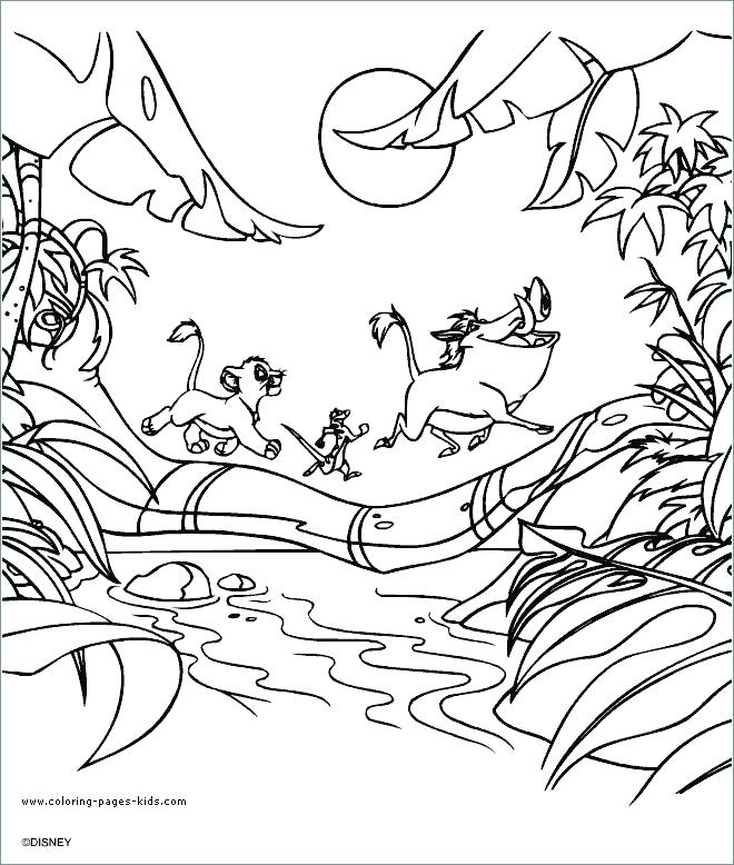 The Lion King Coloring Pages Free Coloring Sea Lion Coloring Page 660x778 The Lion King Coloring Pages Free Coloring Sea Lion Coloring Page