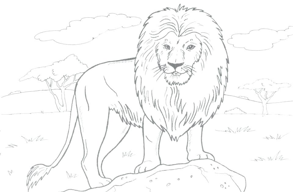 Lions Coloring Pages 960x630 Lions Coloring Pages
