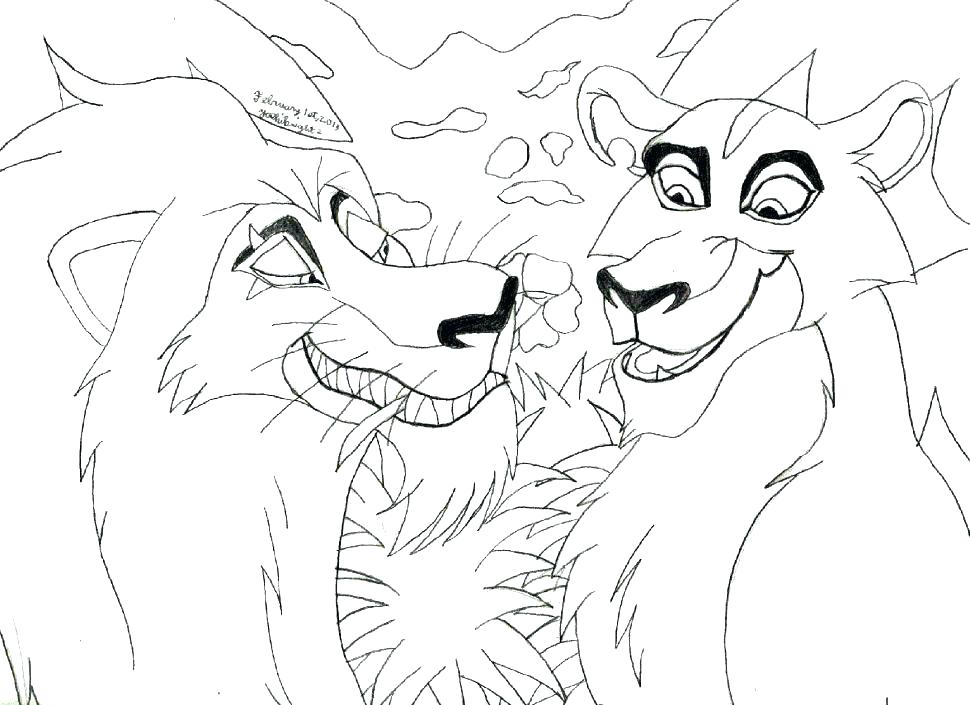 970x705 Coloring Pages Of Lions Coloring Pictures Of Lions Printable Lion