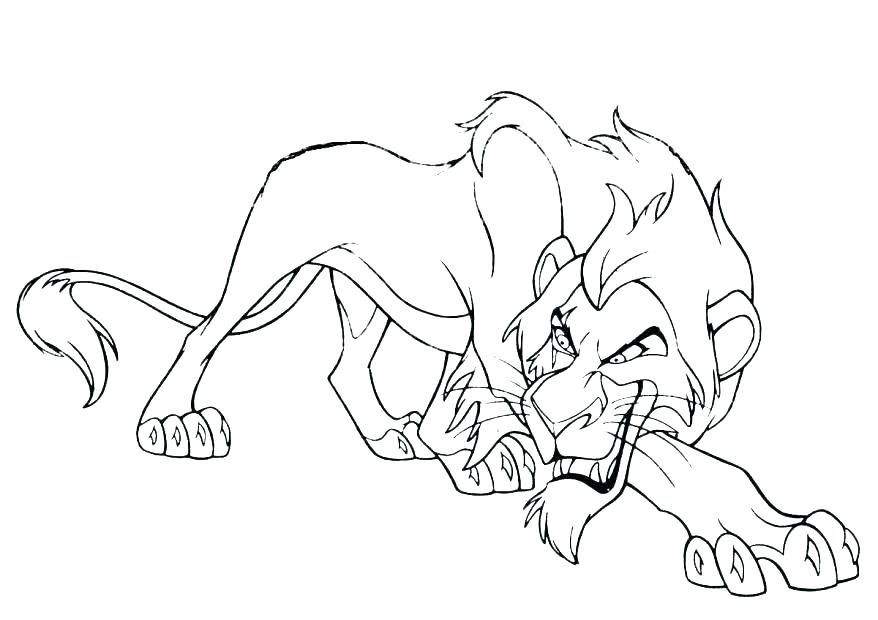 Lion Coloring Book Lion King Coloring Book Lion King Free 878x620 Lion Coloring Book Lion King Coloring Book Lion King Free