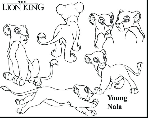 Best Free Lion King Scar Coloring Pages Design Coloring Pages Lion 625x500 Best Free Lion King Scar Coloring Pages Design Coloring Pages Lion