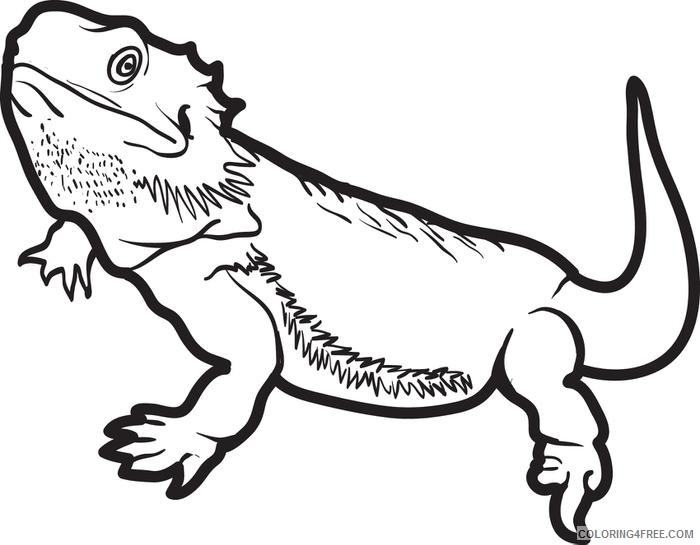 Lizard Coloring Pages Bearded Dragon Coloring4free Awesome Bearded 700x545 Lizard Coloring Pages Bearded Dragon Coloring4free Awesome Bearded