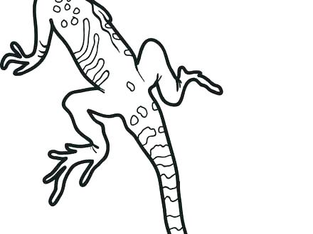 Lizard Coloring Pages Lizards Coloring Pages Simple Lizard 440x330 Lizard Coloring Pages Lizards Coloring Pages Simple Lizard