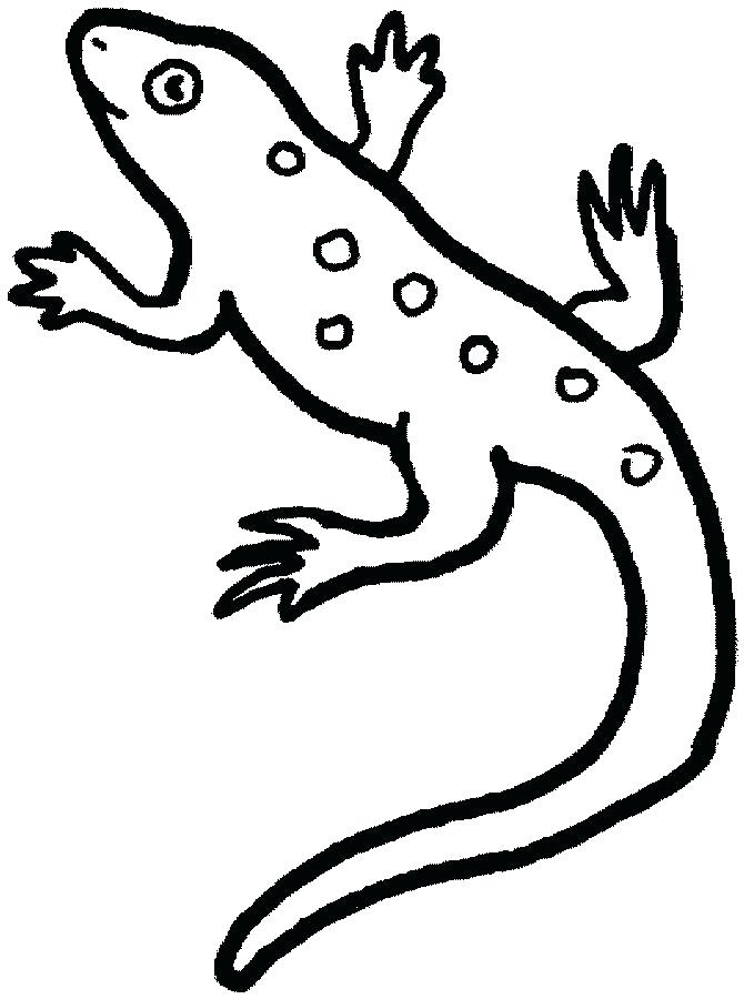 Animal Camouflage Coloring Pages Printable Free Printable Lizard 670x900 Animal Camouflage Coloring Pages Printable Free Printable Lizard