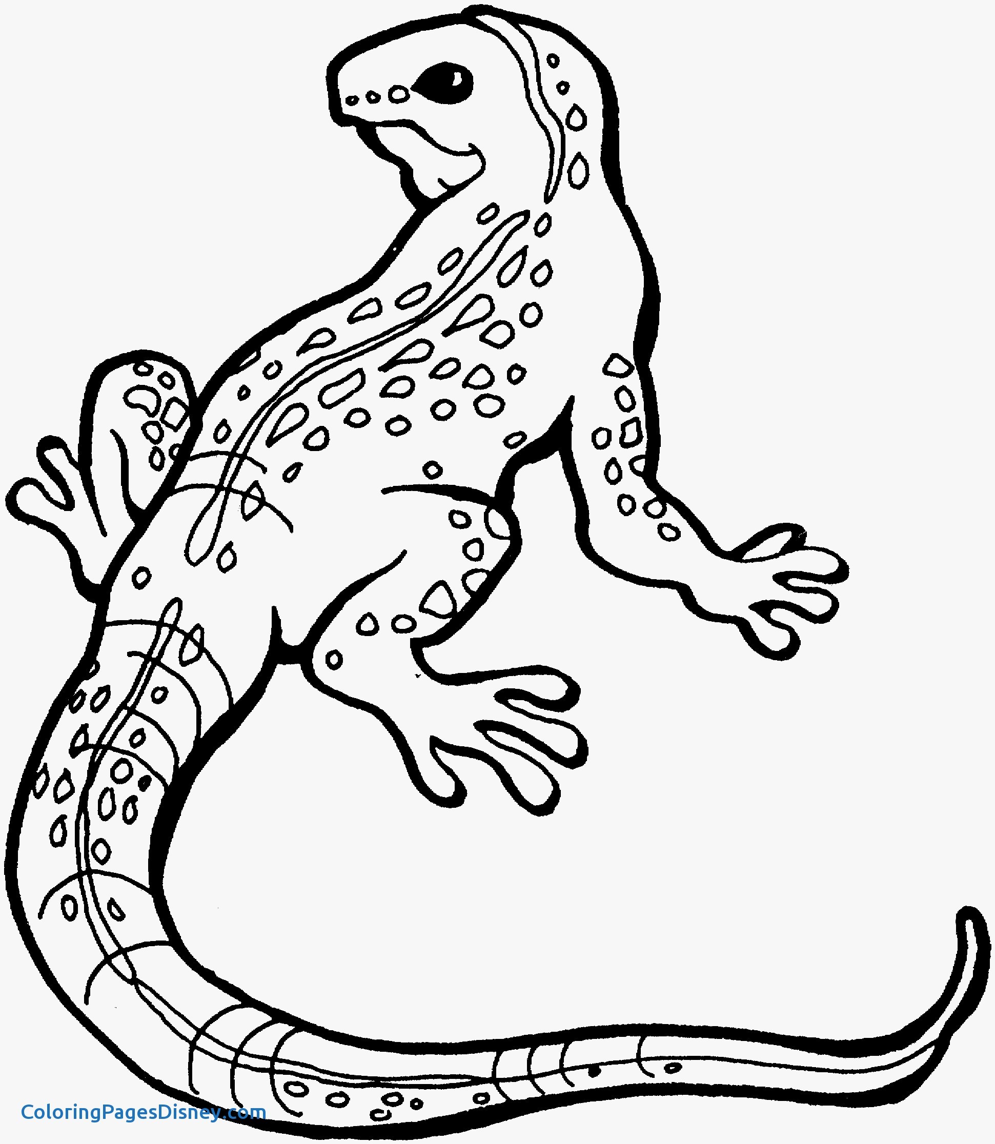 Lizards Coloring Pages Fresh Free Printable Lizard Coloring Pages 1941x2232 Lizards Coloring Pages Fresh Free Printable Lizard Coloring Pages