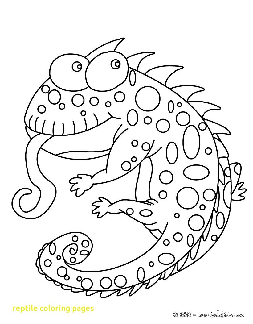 Lizards Coloring Pages Lizard General Spiderman And Man Free 821x1050 Lizards Coloring Pages Lizard General Spiderman And Man Free