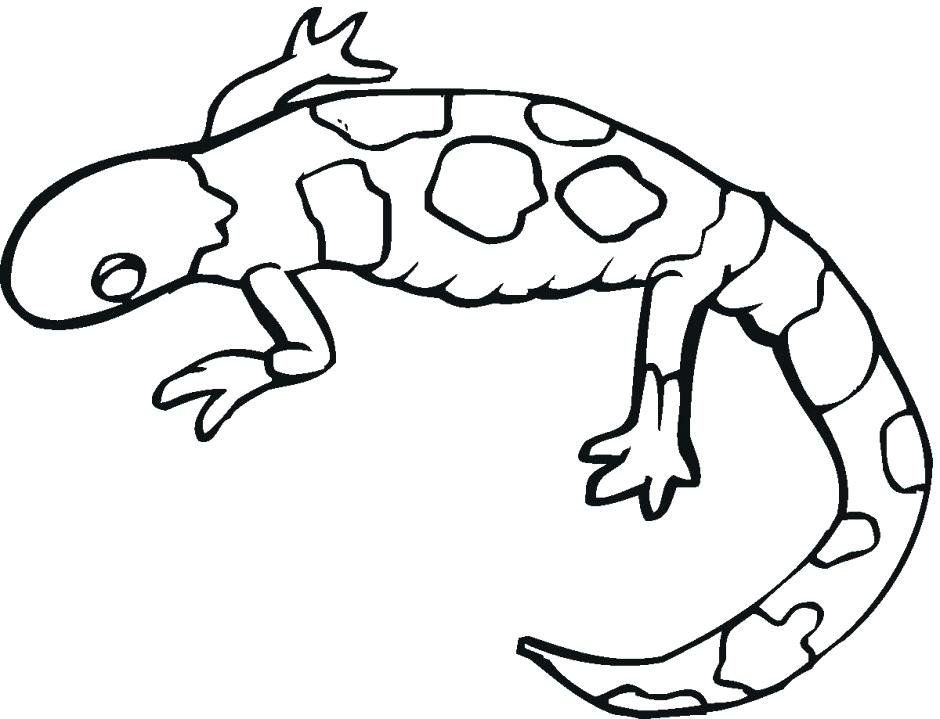 Gecko Lizard Coloring Pages Great Leopard Gecko Coloring Pages Fee 940x719 Gecko Lizard Coloring Pages Great Leopard Gecko Coloring Pages Fee