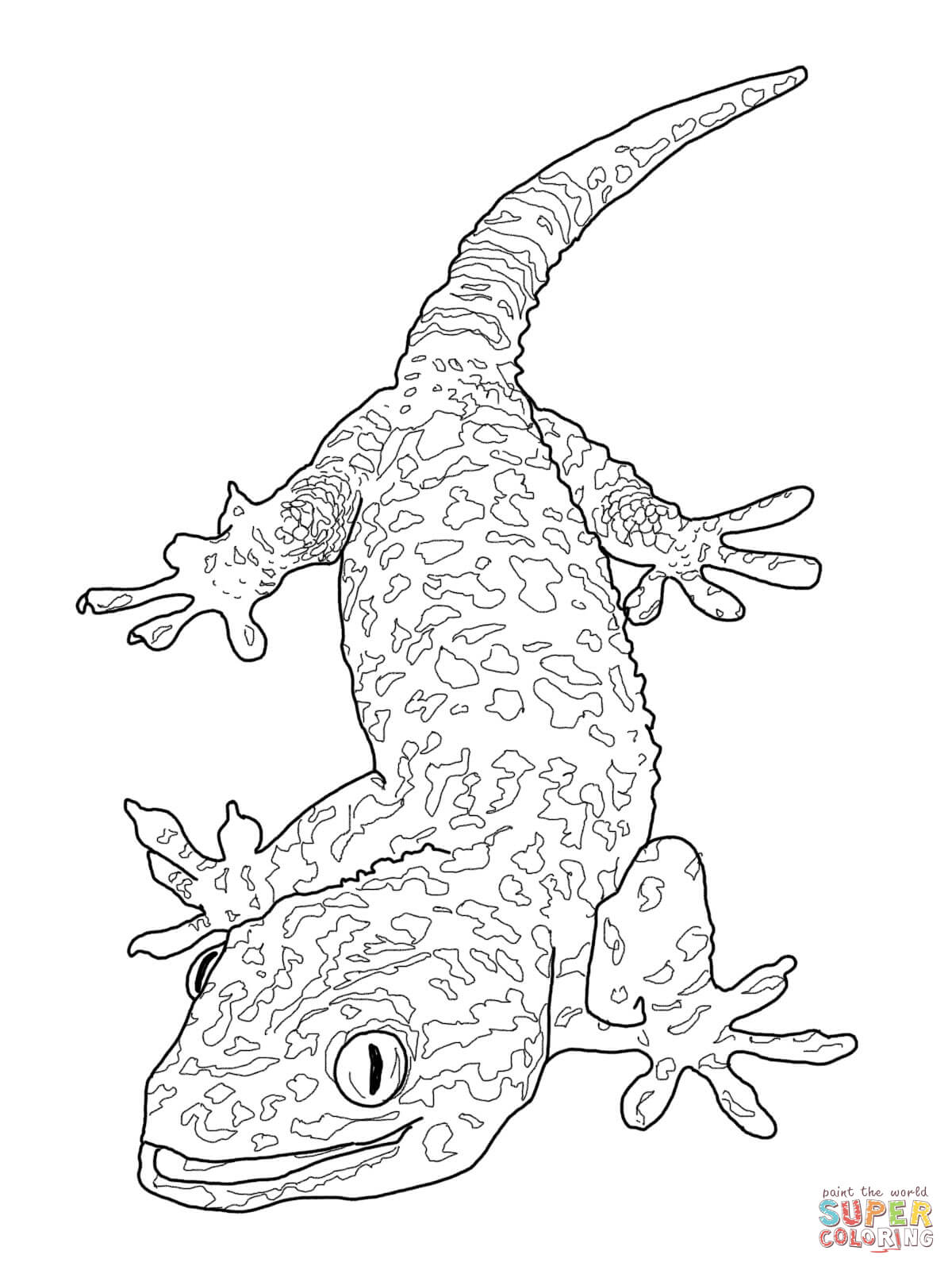 Leopard Gecko Coloring Page Free Printable Coloring Pages Gecko 1200x1600 Leopard Gecko Coloring Page Free Printable Coloring Pages Gecko