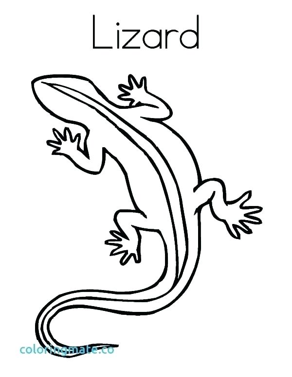 Coloring Pages Of Lizards Coloring Pages Of Lizards Lizard 600x776 Coloring Pages Of Lizards Coloring Pages Of Lizards Lizard