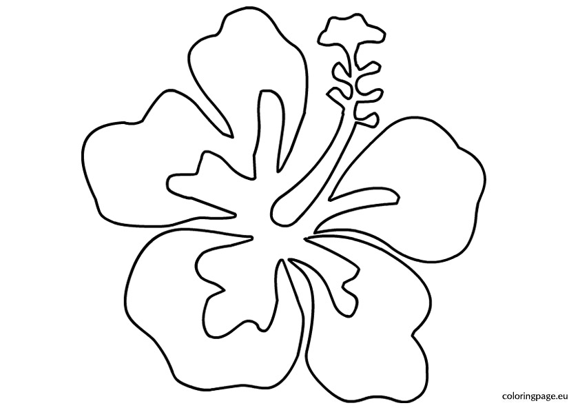Hawaiian Flower Template Luau Coloring Pages For Kids Ideas 842x595 Hawaiian Flower Template Luau Coloring Pages For Kids Ideas