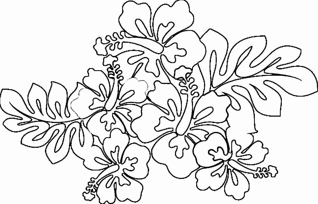 Hawaii Coloring Pages To Print Printableiian Bright Luau Picture 1203x773 Hawaii Coloring Pages To Print Printableiian Bright Luau Picture