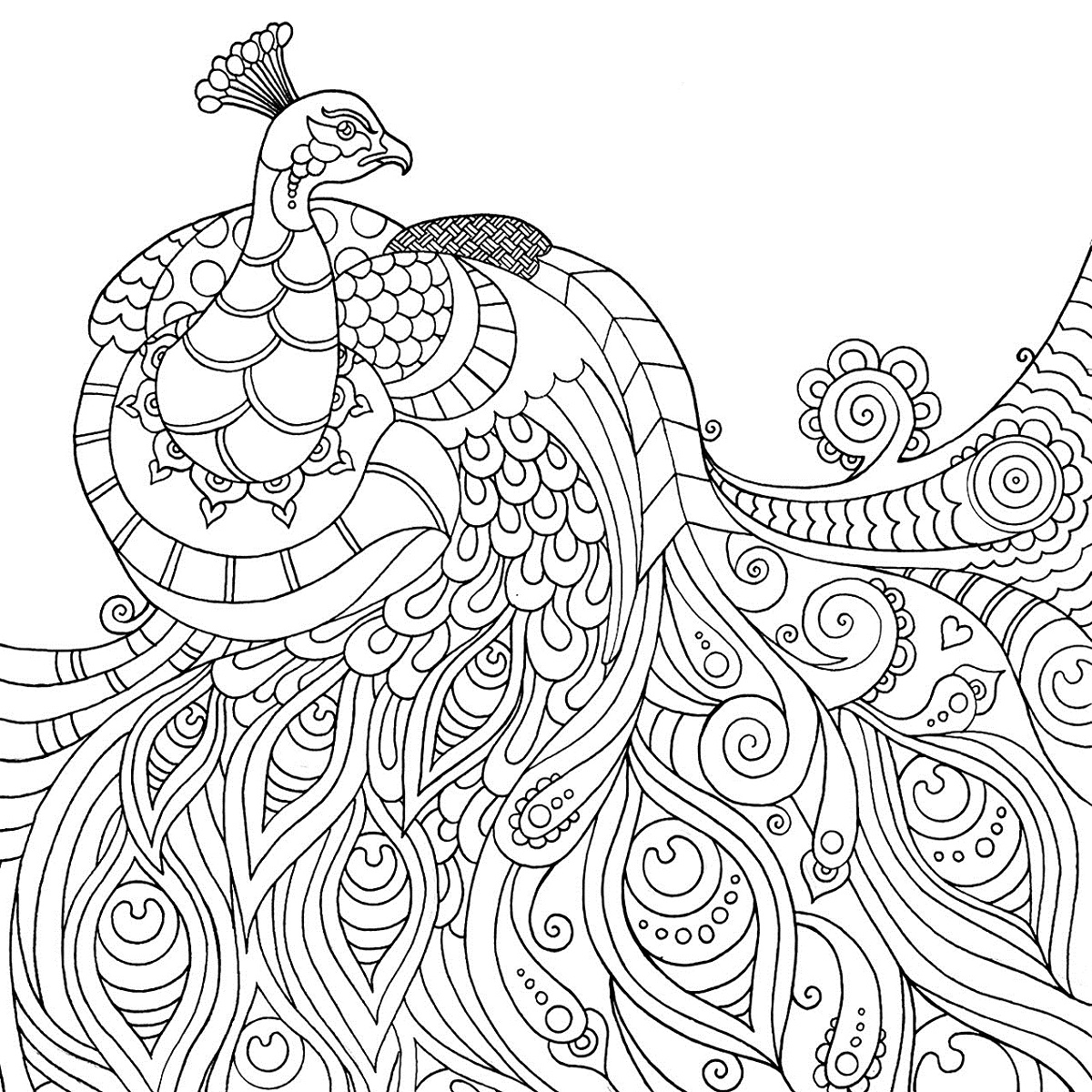1200x1200 Adult Free Printable Coloring Pages Worksheets Loving Printable