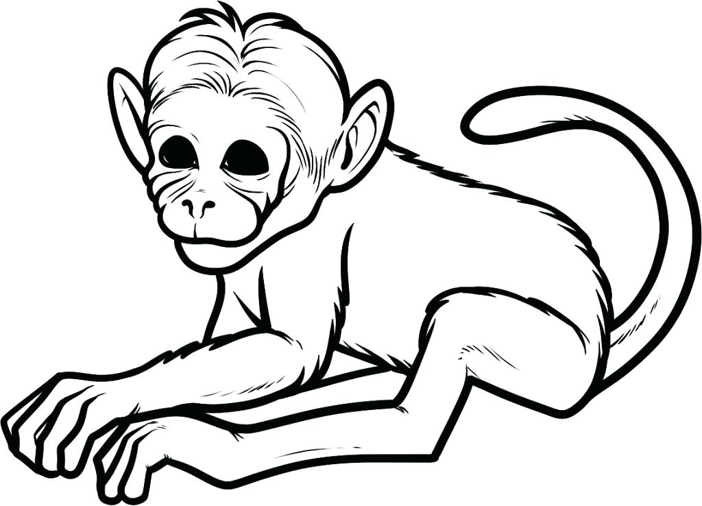 Free Monkey Coloring Pages Curious Monkey Coloring Page Free 1024x738 Free Monkey Coloring Pages Curious Monkey Coloring Page Free