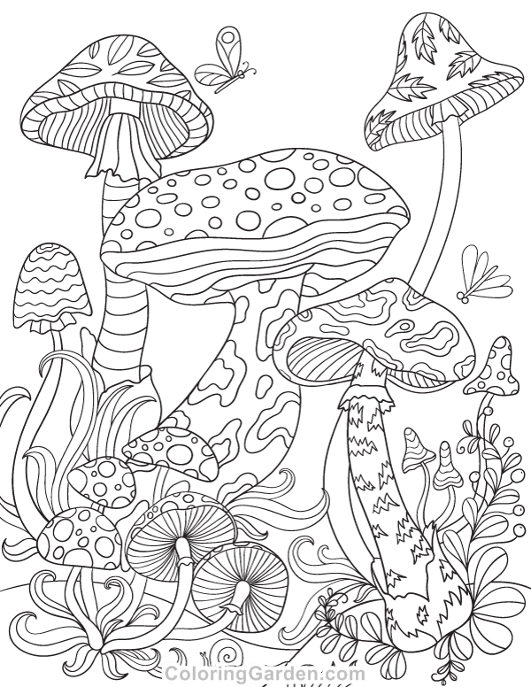 600x776 Free Printable Mushrooms Adult Coloring Page. Download It In Pdf