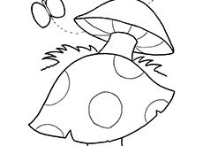 230x165 Modest Decoration Mushroom Coloring Page Top 25 Free Pritable