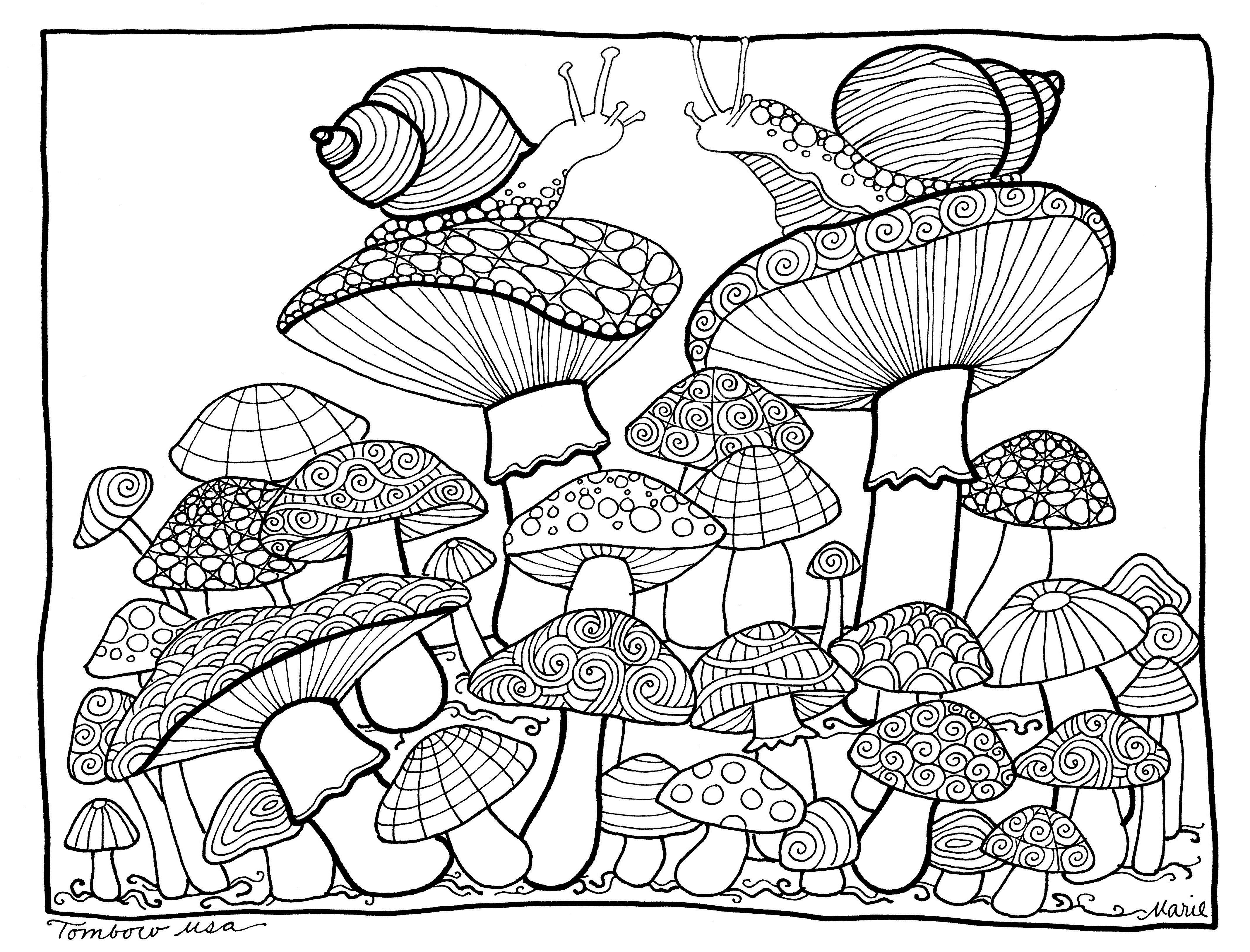 4270x3253 Mushroom Coloring Page Illustrated By Marie Browning Free