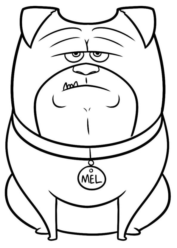 Secret Life Pets Free Coloring Pages 29 Coloring Pages 594x832 Secret Life Pets Free Coloring Pages 29 Coloring Pages